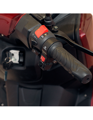 Scooter eléctrico trip 6000W