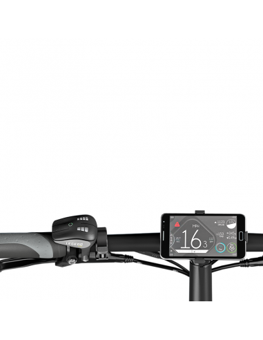 E-bike legend monza
