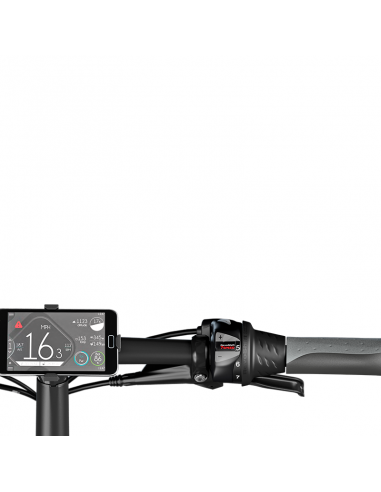 E-bike legend monza