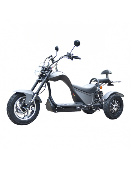 Triciclo eléctrico Citycoco S3 4000W/60V/24/Ah