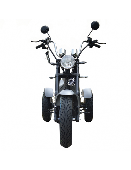 Triciclo eléctrico Citycoco S3 4000W/60V/24/Ah