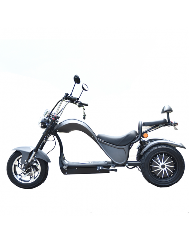 Triciclo eléctrico Citycoco S3 4000W/60V/24/Ah