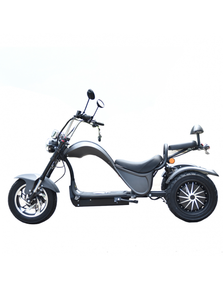 Triciclo eléctrico Citycoco S3 4000W/60V/24/Ah