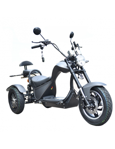 Triciclo eléctrico Citycoco S3 4000W/60V/24/Ah