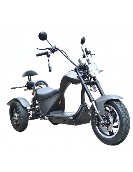 Triciclo eléctrico Citycoco S3 4000W/60V/24/Ah