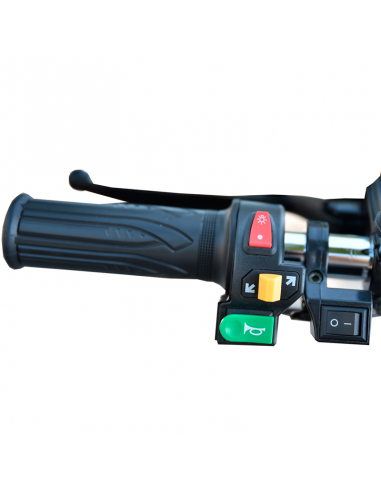 Triciclo eléctrico Citycoco S3 4000W/60V/24/Ah