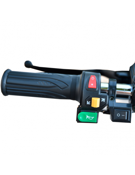 Triciclo eléctrico Citycoco S3 4000W/60V/24/Ah