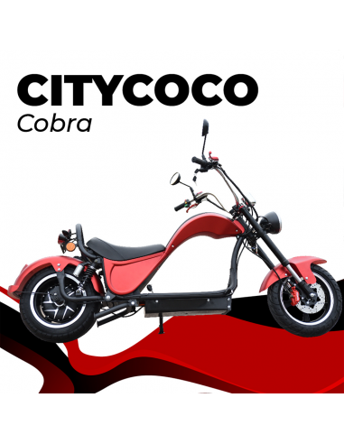 Triciclo eléctrico Citycoco Cobra S3 con doble batería