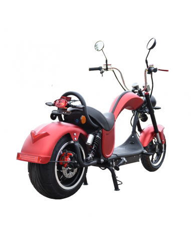 Ciclomotor eléctrico CitiyCoco Cobra 2000W/24Ah