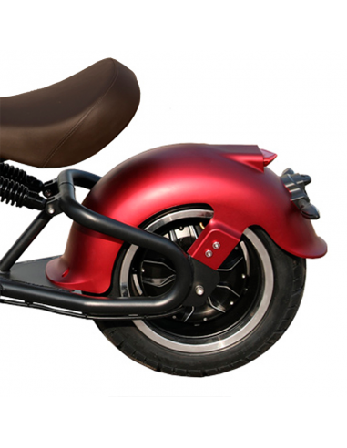 Ciclomotor eléctrico E-Custom 49e 2000W