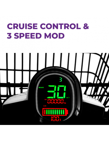 Scooter eléctrica 49e Sunra Cargoo 3000W