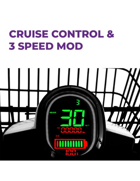 Scooter eléctrica 49e Sunra Cargoo 3000W