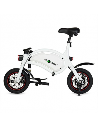 Ebike 250W