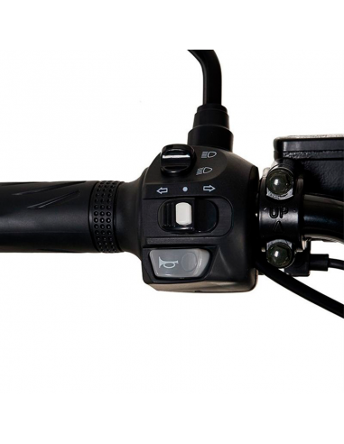 Scooter eléctrico In Time para reparto 2000W