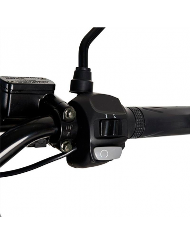 Scooter eléctrico In Time para reparto 2000W