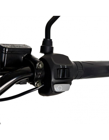 Scooter eléctrico In Time para reparto 2000W