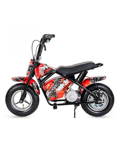 Ecoxtrem Minimoto Eléctrica 300W
