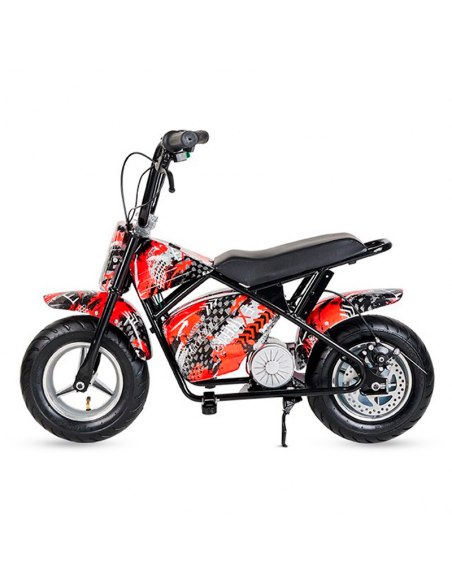 Ecoxtrem Minimoto Eléctrica 300W