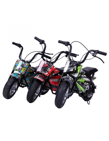 Ecoxtrem Minimoto Eléctrica 300W