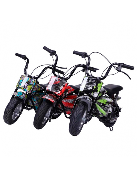 Ecoxtrem Minimoto Eléctrica 300W