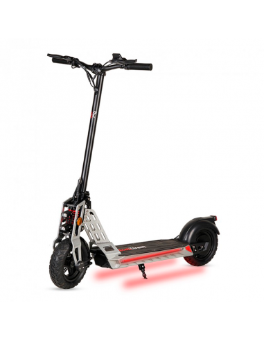 Patinete eléctrico 600W Bison urbano y potente