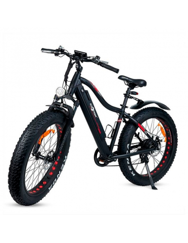Bicicleta eléctrica XL con ruedas gruesas
