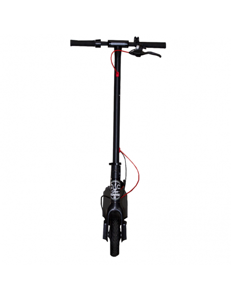 Patinete elétrico Es-Way