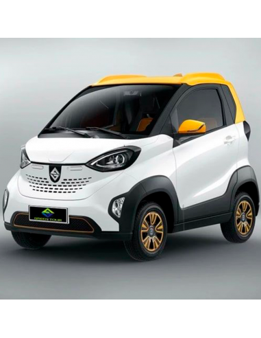 Coche Eléctrico EV0